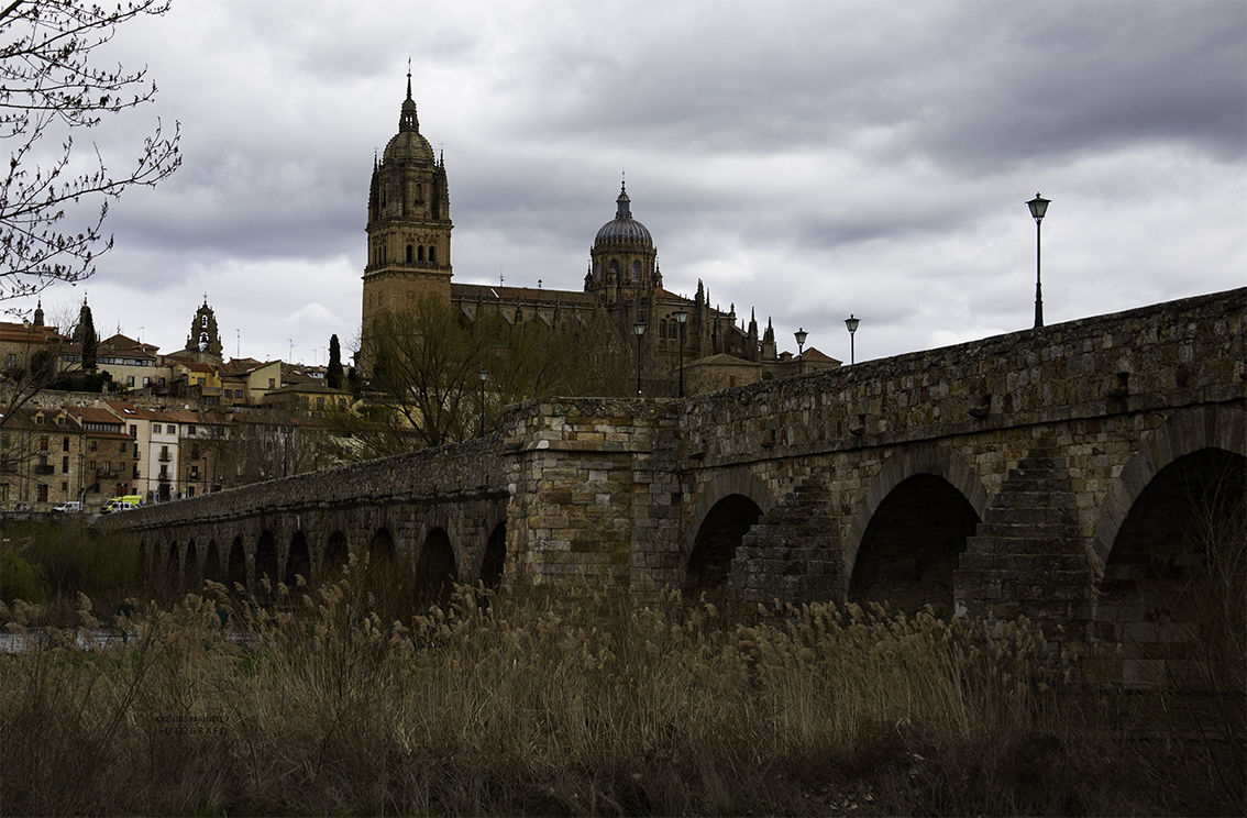 joseluispariente.com - catedral-de-salamanca.jpg